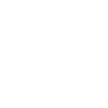 Life Skills